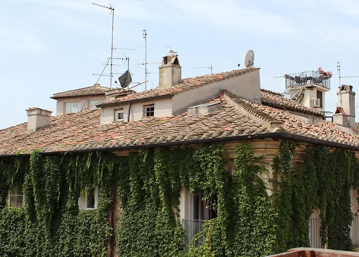 Hotel Coronari Palace